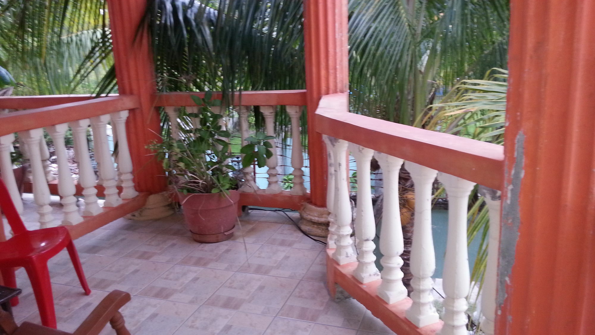 La Delphina Bed And Breakfast Bar And Grill La Ceiba Zewnętrze zdjęcie